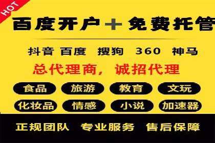 成功企业的SEM竞价优化经验与启示